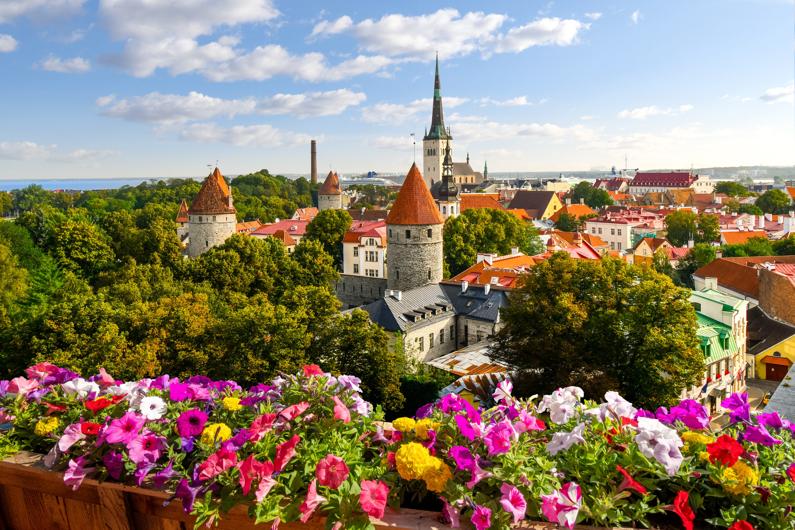 Tallin